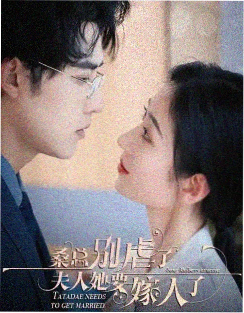 去有风的地方 神马影院达达兔